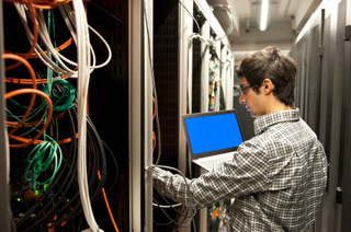 Managed IT Services - Bluefox Cloud Solutions - Business Cloud Computing - New York, United States